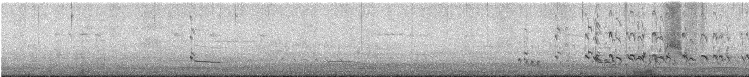 Common Redshank - ML619252647
