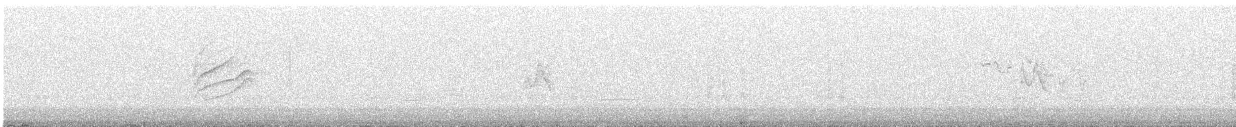 svarthetteparula - ML619253405