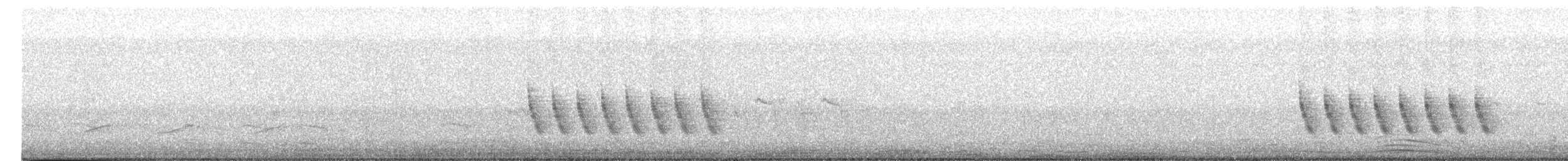 Mangrov Vireosu (ochraceus/semiflavus) - ML619253449