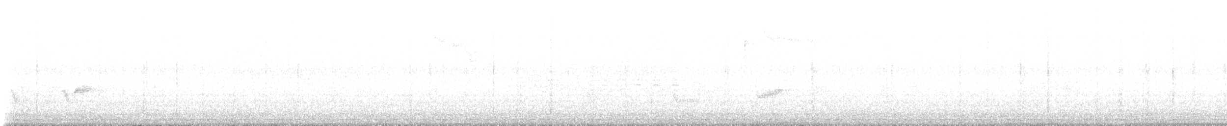 Kara Kanatlı Piranga - ML619253787