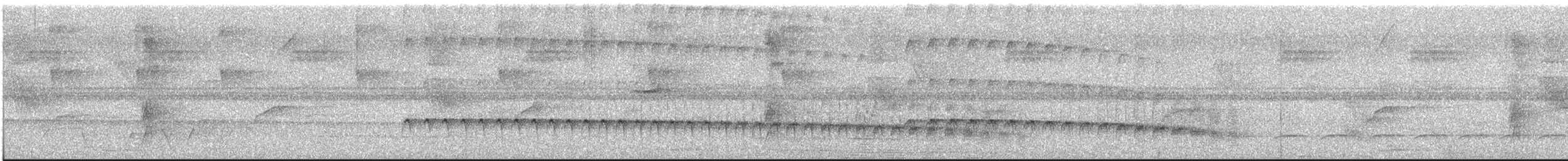 White-browed Antbird - ML619253960