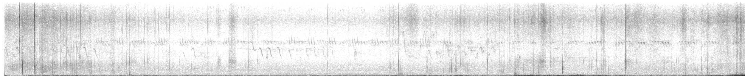 Northern House Wren - ML619254065