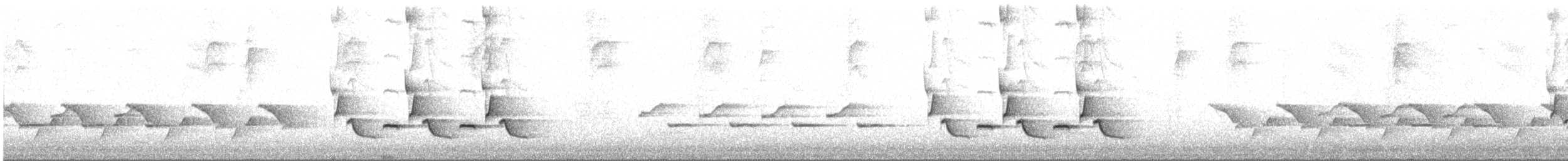 Поплітник каролінський - ML619254147