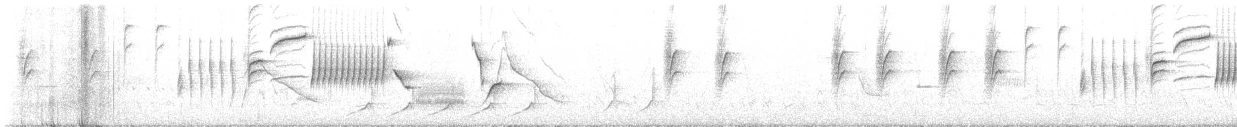 Troglodyte de Bewick - ML619255237
