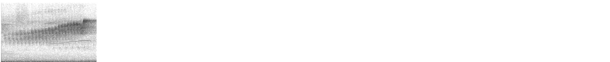 Northern Parula - ML619256764