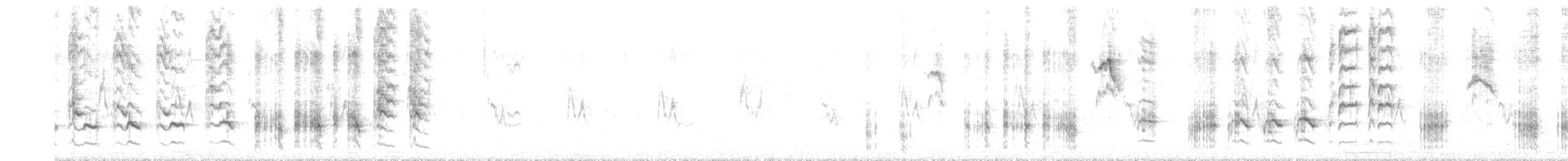Great Reed Warbler - ML619257838
