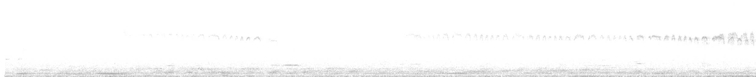 Andean Swift - ML619258531