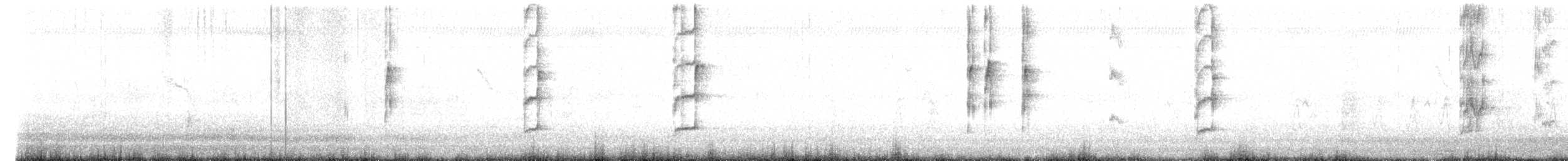 rosenhodet dvergpapegøye - ML619258579