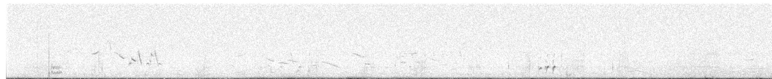Прерийный кроншнеп - ML619260281