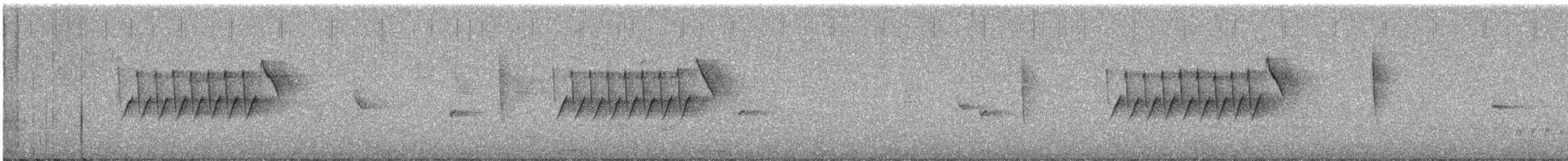 Troglodyte de Bewick (groupe mexicanus) - ML619261474