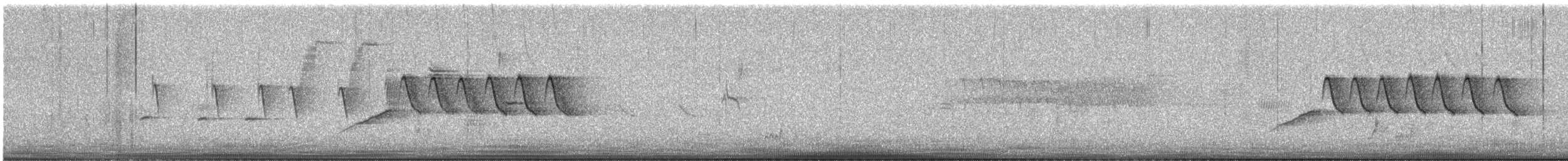 Длиннохвостый крапивник [группа mexicanus] - ML619261475