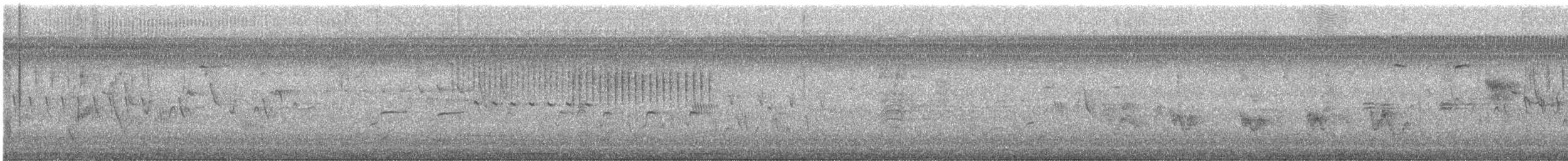 solitary vireo sp. - ML619261618