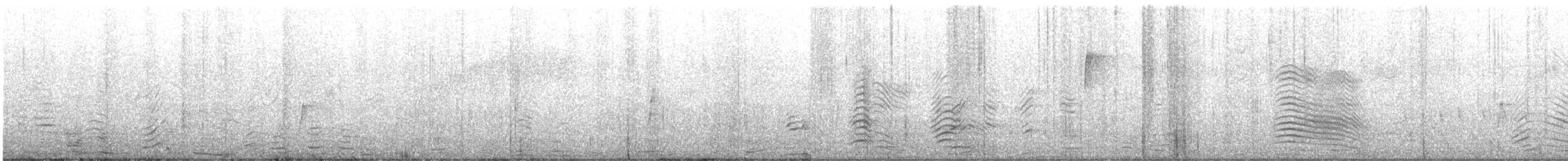 vierempid - ML619261987