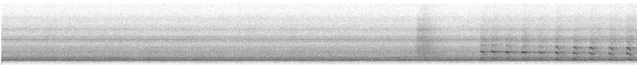 Common Gallinule - ML619265372
