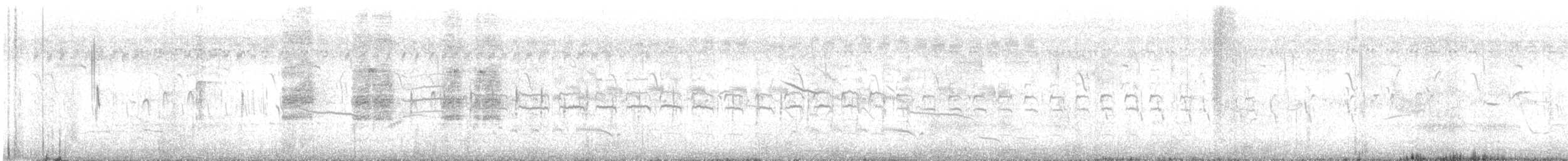 Black Francolin - ML619270213