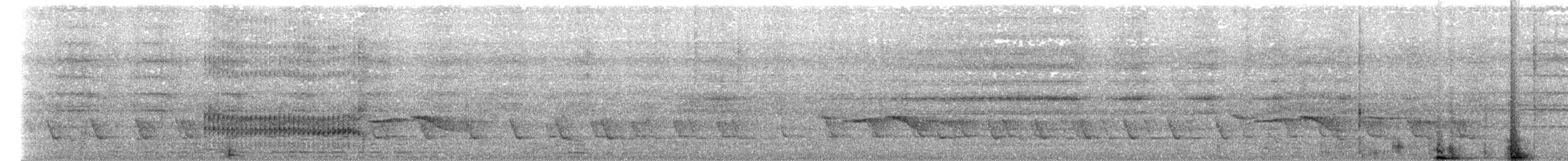 Пестробокая лесная куропатка - ML619270982