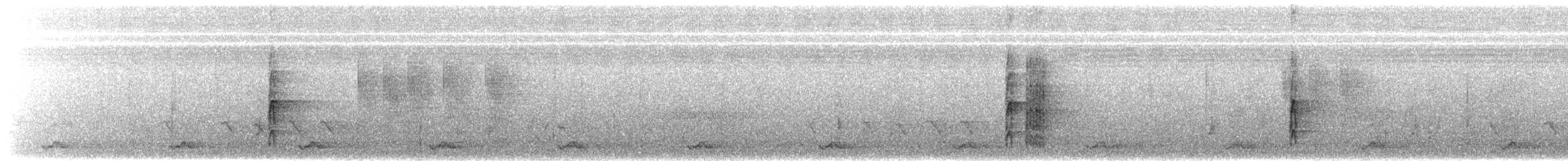 Пестрогрудый дятел - ML619271514