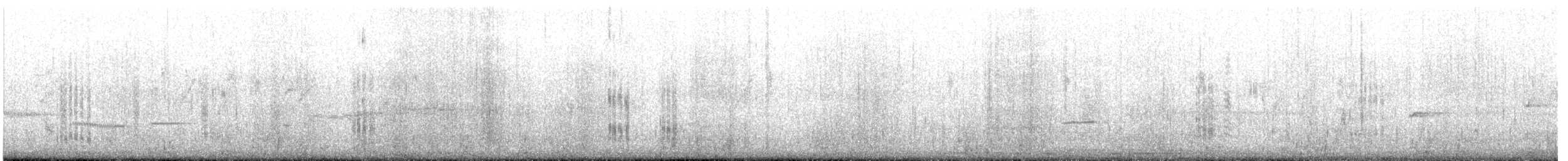 Weißbart-Seeschwalbe - ML619272385