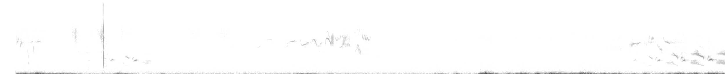 Western Orphean Warbler - ML619272627