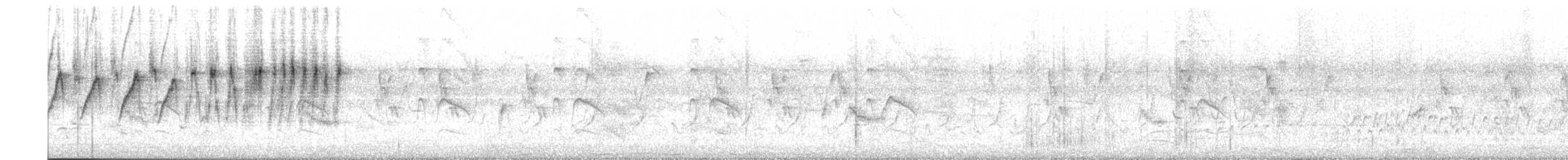 Атласная нектарница - ML619272629