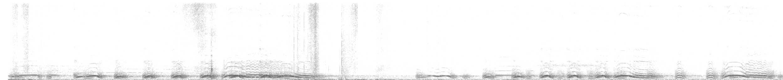 Barred Owl - ML619273107