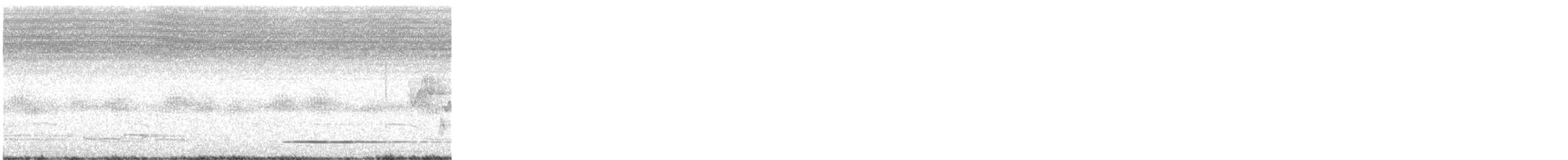 Thicket Tinamou - ML619274805