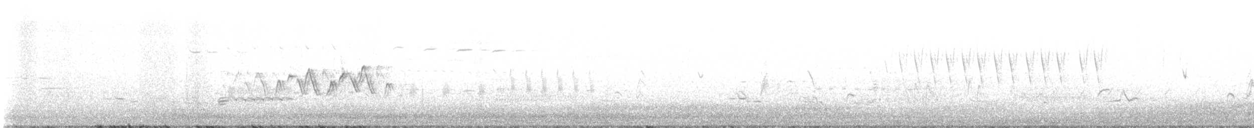 Common Yellowthroat - ML619275929