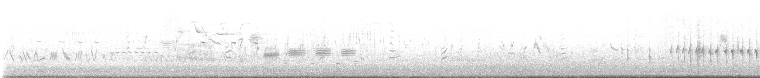 Sperlingsvogel, unbestimmt - ML619276005