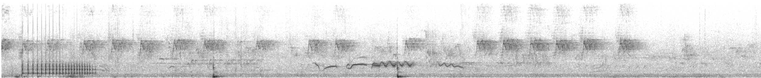 נקר סורי - ML619277599