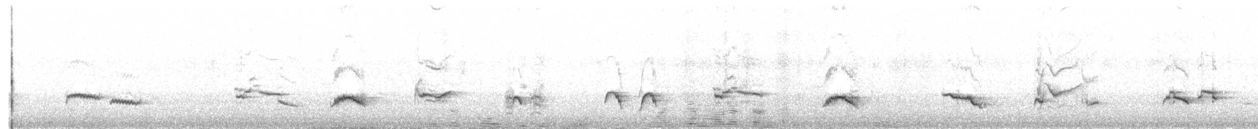 Магелланов дрозд (magellanicus/pembertoni) - ML619278831