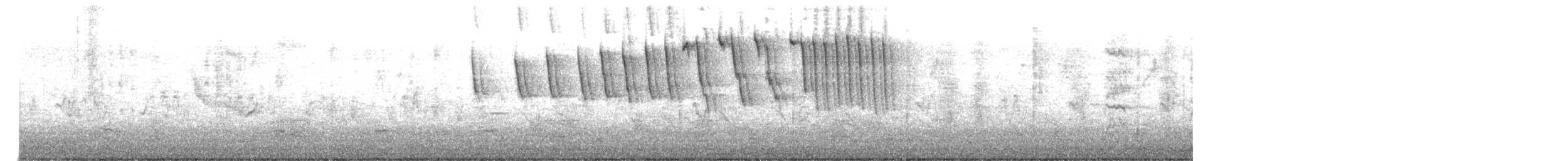 Tennessee Warbler - ML619278944