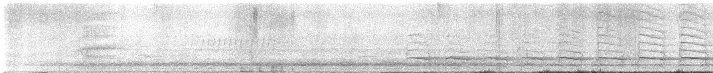 Red-shouldered Hawk - ML619279193