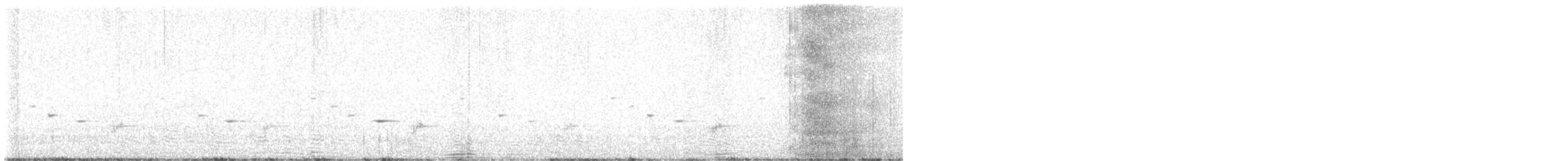 Psophode carillonneur - ML619279615
