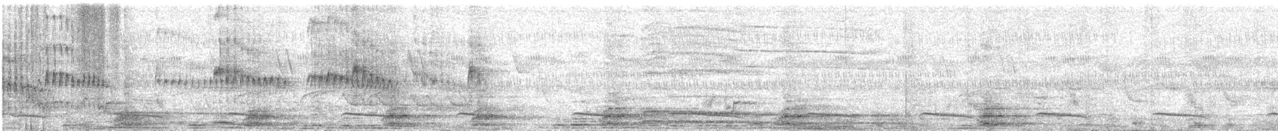ヒメアマツバメ - ML619280529