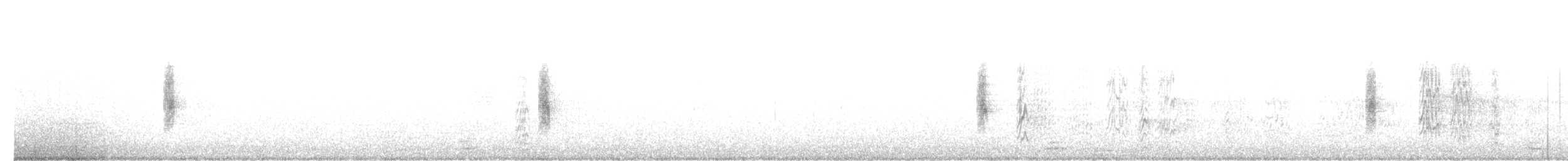 Moqueur à ailes blanches - ML619281629