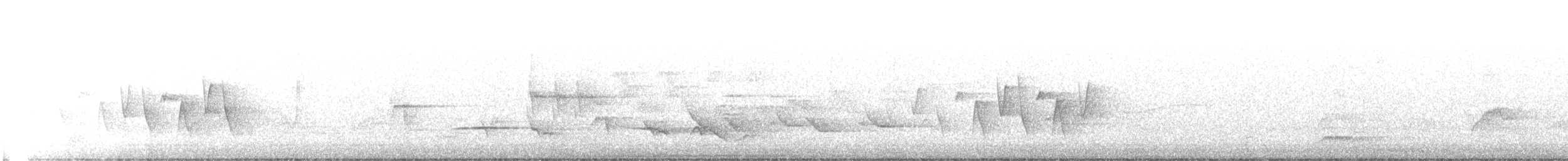 Paruline à gorge grise - ML619282437