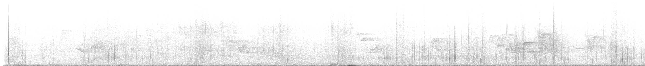 Очковая хвойница - ML619282511