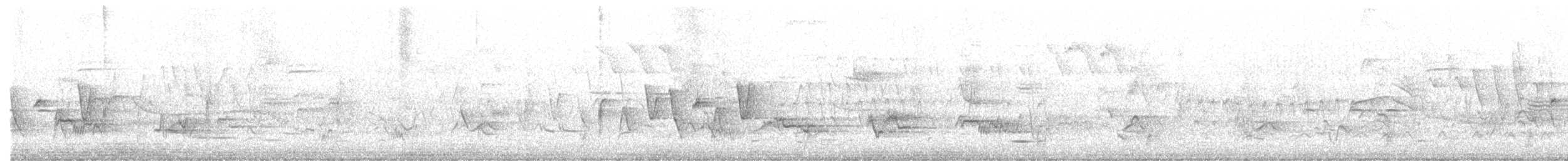 Paruline à gorge grise - ML619283088