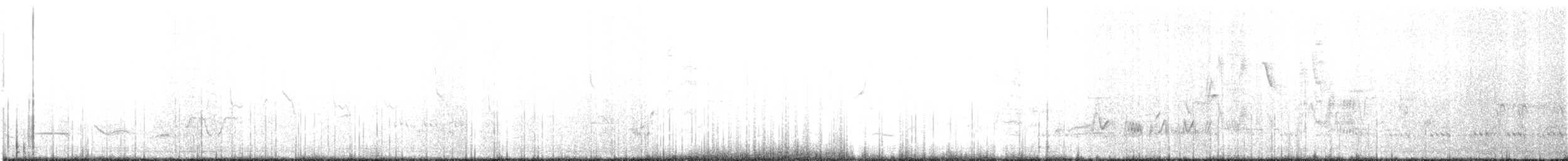 Black Woodpecker - ML619285231