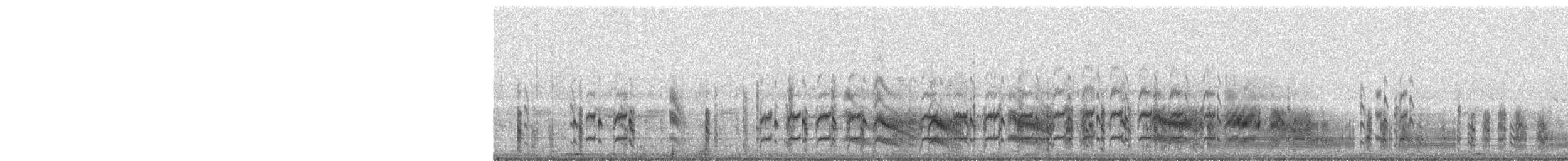שחפית שחורת-אוזן - ML619285243