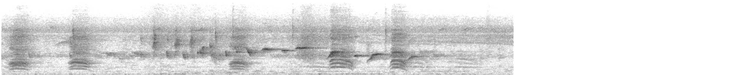 Віялохвістка цяткована - ML619285352