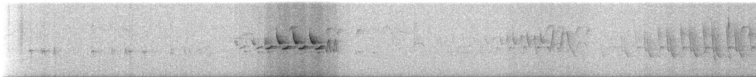 キヅタアメリカムシクイ（coronata） - ML619285459
