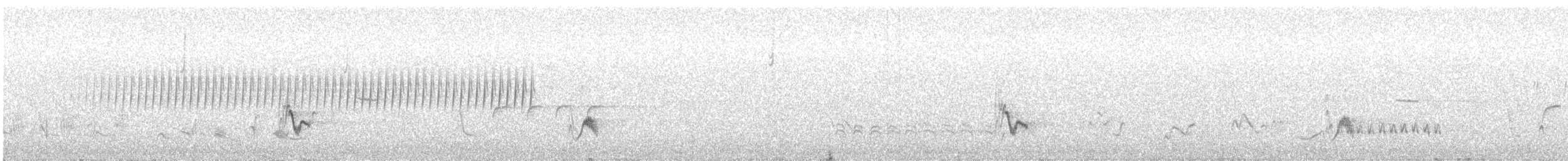 Vireo Gris - ML619285599
