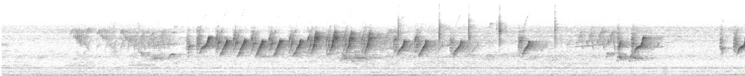 Атласная нектарница - ML619285880