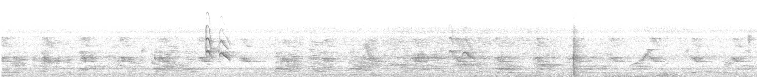 נץ הים הכספי - ML619286046
