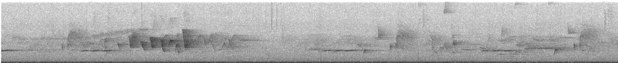 Paruline à gorge grise - ML619286417
