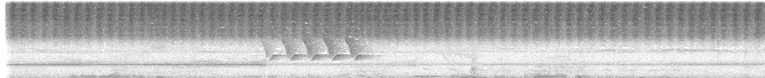 Каролинский крапивник - ML619286474