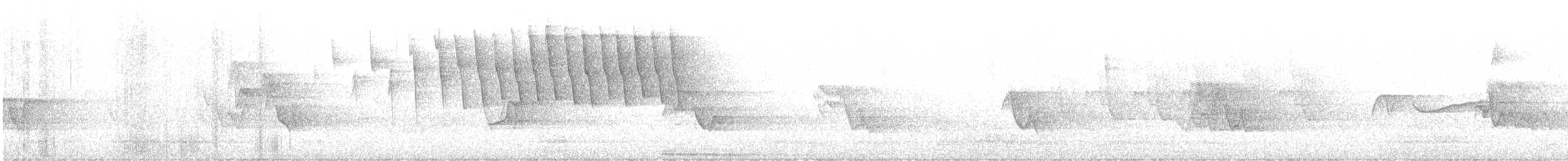Tennessee Warbler - ML619286624