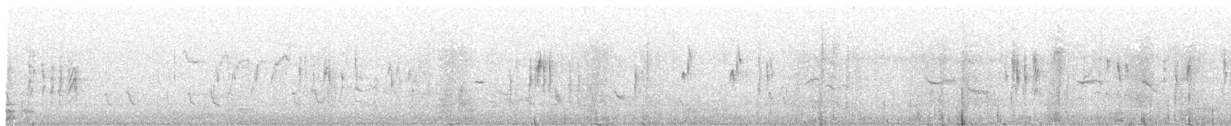 Txinbo papargorrizta iberiarra - ML619286737
