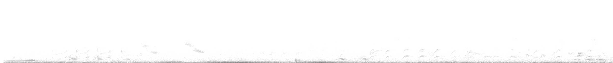 Чернобородый дятел - ML619287037